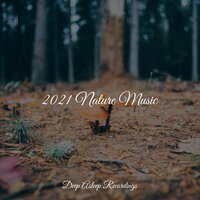 Sounds of Endearment - Deep Relaxation Meditation Academy & Baby Relax Music Collection & Tranquil Music Sound Of Nature