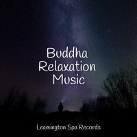 Awakened Soul - Nature Sound Collection & Schlaflieder Für Kinder & Musica relajante