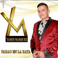 De Cantina en Cantina - Yamit Marquez