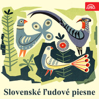 A okolo Levoči - Cimbálová muzika Hynka Bíma
