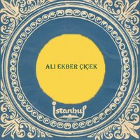 Erenler Cemine - Ali Ekber Çiçek