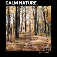 Amazing Forest Crickets sound in Chilling Christmas to help you relax and study - Chill Out & Crickets & Sleep Crickets