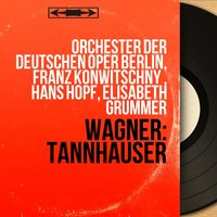 Tannhäuser, Act III: Einführung - Orchester Der Deutschen Oper Berlin & Franz Konwitschny & Рихард Вагнер