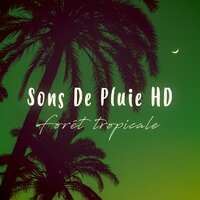 Pluie: Orage - Sons De Pluie HD