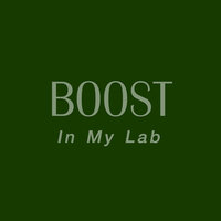 คนแก้เหงา - Boost