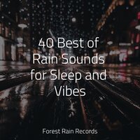 Beach, Waves, Lapping, Medium - Meditação Yoga & Baby Relax Music Collection & Sleep Tight