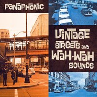 Kinky Groove - Panaphonic