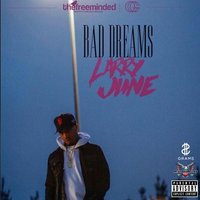 Crazy Dreams - Larry June