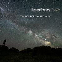 Chasing Starlights - Tigerforest