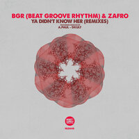Ya Didn't Know Her - BGR (Beat Groove Rhythm) & ZAFRO & Dkult