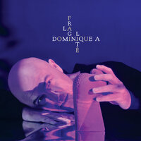 La poésie - Dominique A
