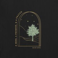 Never Walk Alone - David Willis & Hailee Willis