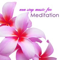 Mindfulness Meditation (Relaxing Nature Sounds Long Song) - Meditation Guru