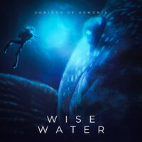 Wise Water - Sonidos de Armonía