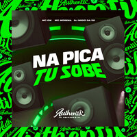 Na Pica Tu Sobe - Dj Nego da ZO & MC Gw & MC MORENA