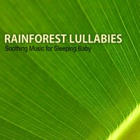 Heart of the Forest - Rainforest Music Lullabies Ensemble