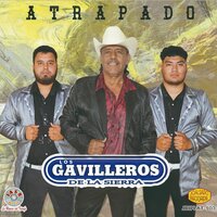ME EMBRIAGO DE BESOS - Los Gavilleros De La Sierra