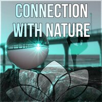 Enlightment (Natures Sounds) - Deep Meditation Music System