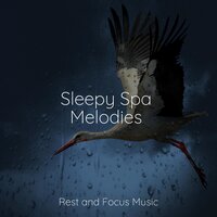 Rest Easy - Classical Lullabies & Ruído branco & Namaste Yoga