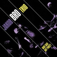 The Thrill Is Gone - Jakob Bro