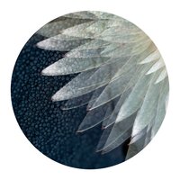 Yanchin Jazz - Hibernation