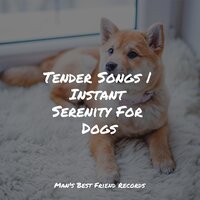 Blissful Relaxation - Sleepy Dogs & Official Pet Care Collection & Music for Dog's Ears