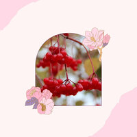 Dream-Like (Holistic Spa Treatment) - Massage Music
