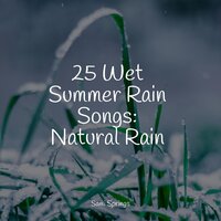 Birds in Twilight - Soothing Nature Sounds & Amazing Spa Music & It's Raining