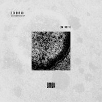 Shellshock - leloopar