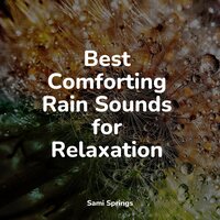 Rain, Vegetation, Wood, Heavy Wind - Nature Chillout & Thunderstorms & Soothing White Noise For Infant Sleeping And Massage