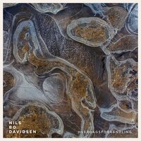 Middagsro - Nils Bo Davidsen