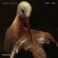 Melted Chocolate - Igor Gonya & Bdtom