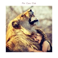Windchimes - Music For Cats & Cat Music & Music For Cats Peace