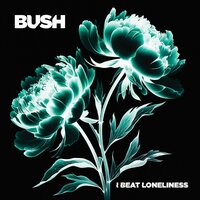 Footsteps in the Sand - Bush