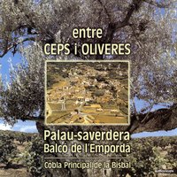 Tots a la festa - Cobla Principal de la Bisbal