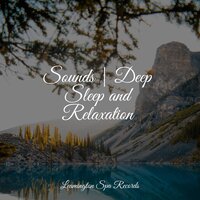 Calm and Serene - Nature Sounds for Concentration & Rain & Lullaby Babies