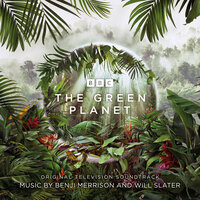 Rapidly Growing Leaf - Will Slater & Benji Merrison