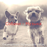 Атмосфера (Милые Собаки) - Оживленный Музыка для собак