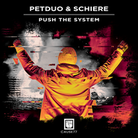Push The System - PETDuo & Schiere