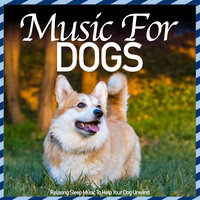 Sleep Over - Relax My Dog & Dog Music Dreams & RelaxMyDog