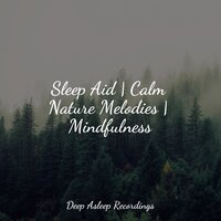 Totally Calming - Life Sounds Nature & Tranquility Spa Universe & Deep Sleep Music Experience