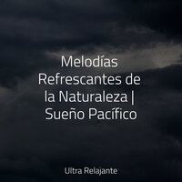 En Balance - Meditar Profundamente & Saludo al Sol Sonido Relajante & Música Relajante para Perros