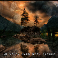 Прекрасная жизнь - Nature Sounds XLE Library