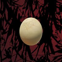 $hopper - NuKind & Vandal