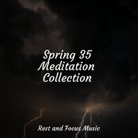 For Your Mind Only - Life Sounds Nature & Amazing Spa Music & Relaxamento