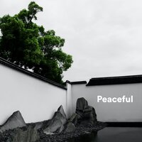 Unlax Body - REIKI & Reiki Tribe & Reiki Healing Consort