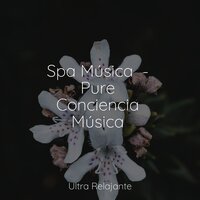 En Armonía - Música De Relajación Para Dormir Profundamente & Massagem Música & Sonidos de lluvia para dormir