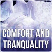 Comfort and Tranquality - Sea Tranquility Academy