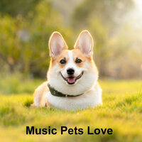 Cat Spa Music - Music for dog's joys & Music For Cats & World of cat's & Purring cats