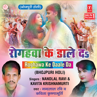 Saara Ra Ra Sarkar Dalab - Nandlal Ravi & Kavita Krishnamurthy